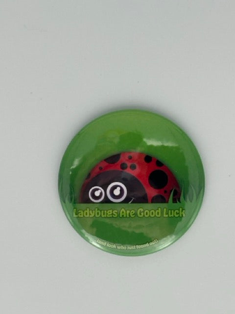 Lucky Ladybug Round Refrigerator Magnet | Cute Cartoon Character Magnet | 2.25 Inch Fridge Magnet