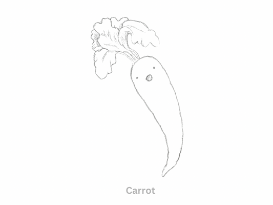 Sketch of a Cute Cartoon Carrot