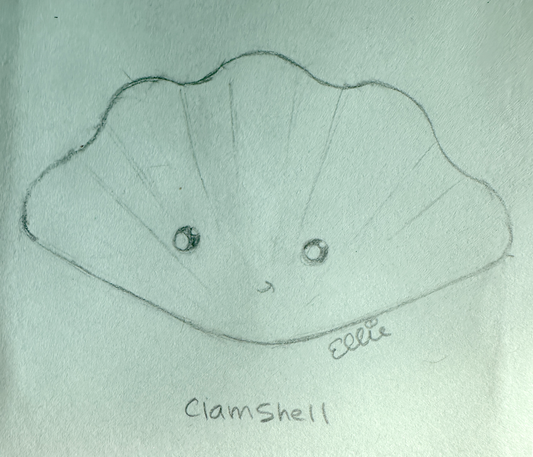 Sketch of a Clam Shell