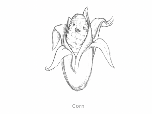 Sketch of a Cute Cartoon Corn