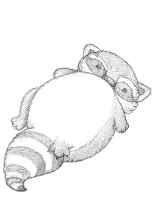 Sketch of a Raccoon