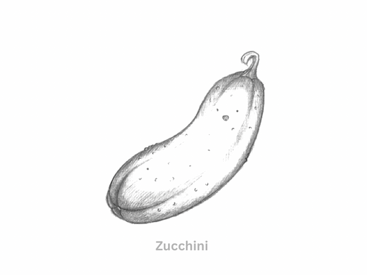 Sketch of a Cute Cartoon Zucchini