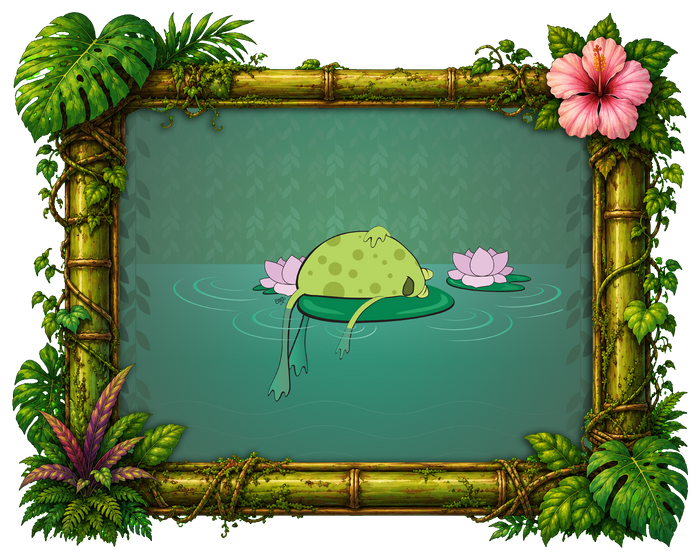 Frog on a Lilypad
