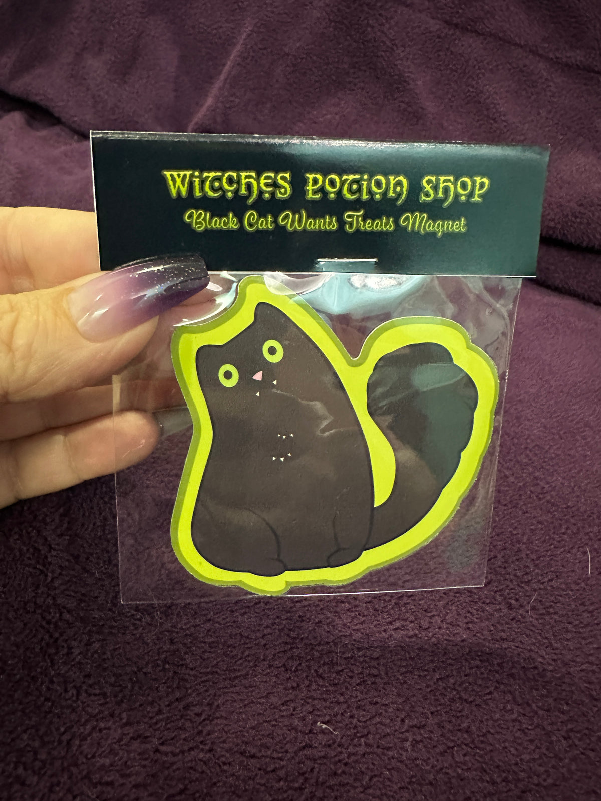 MAGNET: Black Cat Wants Treats