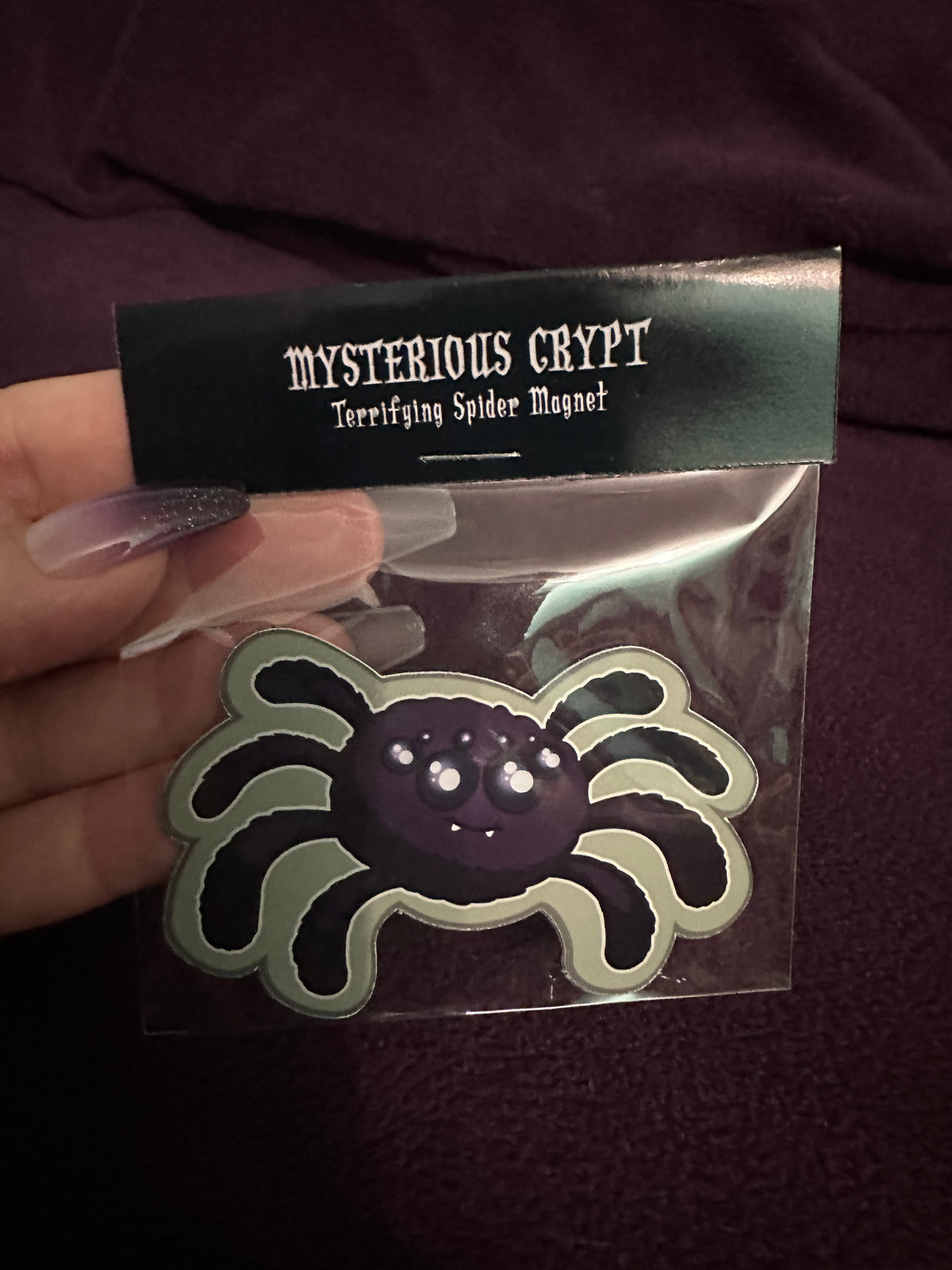 MAGNET: Terrifying Spider