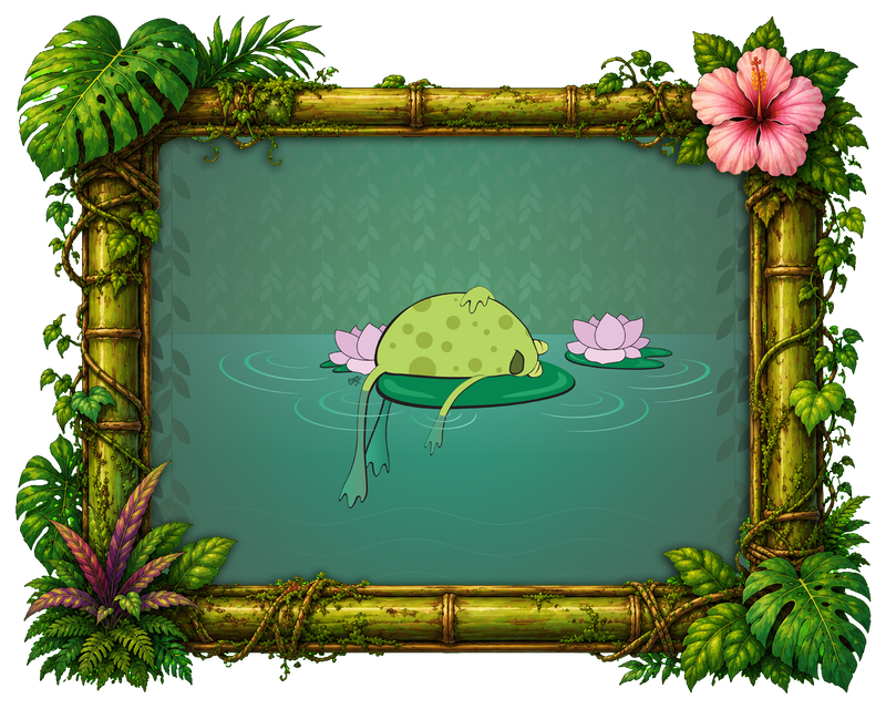 Frog on a Lilypad