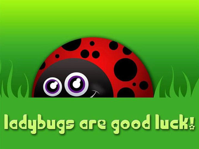 Cartoon ladybug with text 'ladybugs are good luck!' on a green background by Ellie the artist.